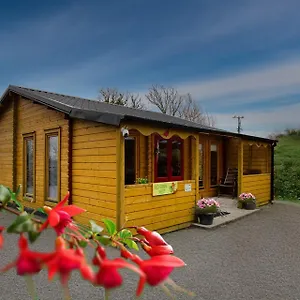 Red Robin Nest Apartment Galway